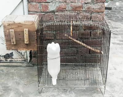 Birds Cage For Sale