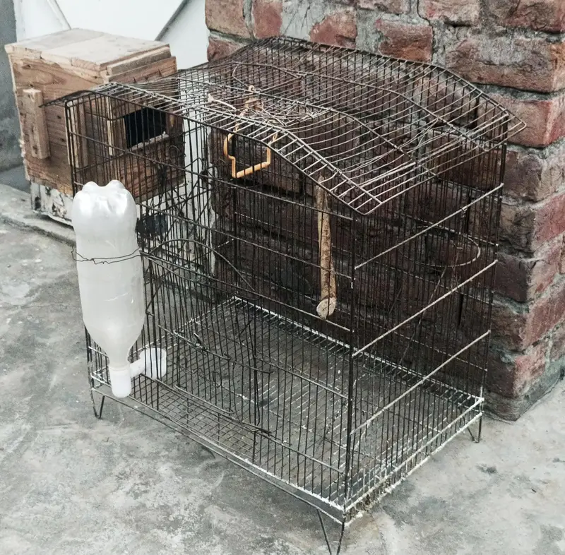 Birds Cage For Sale — photo 2
