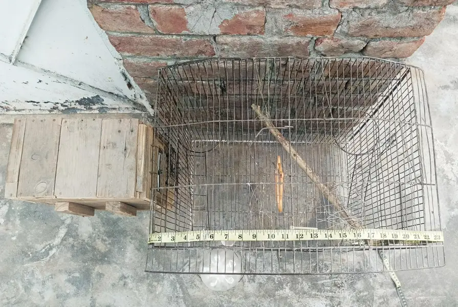 Birds Cage For Sale — photo 6