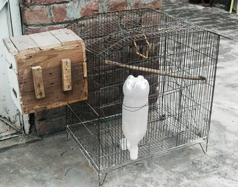 Birds Cage For Sale — photo 7