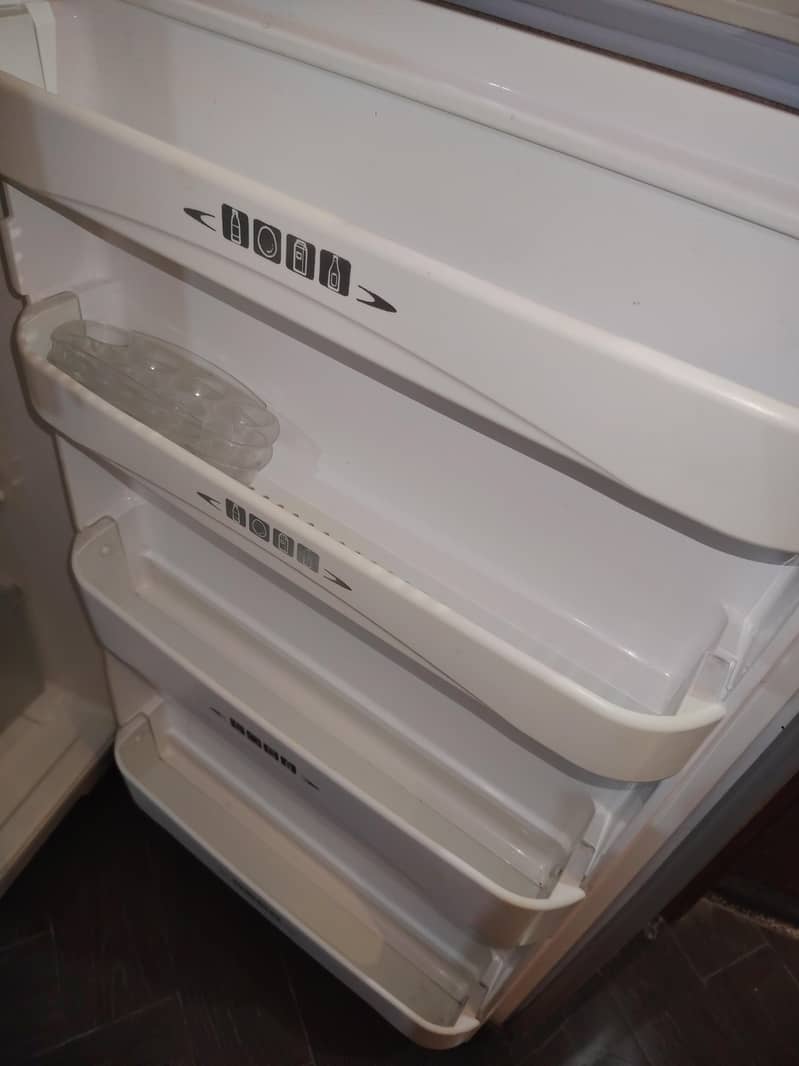 fridge 6