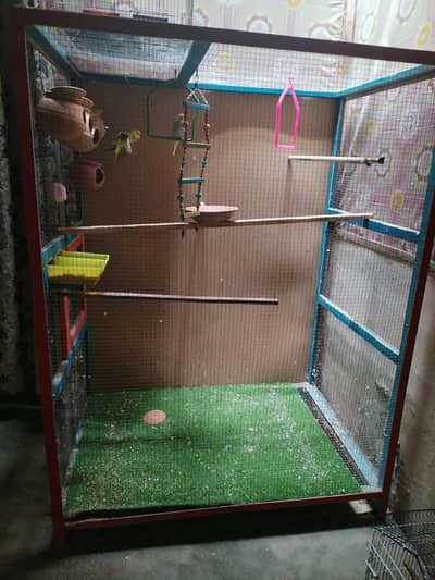Birds cage