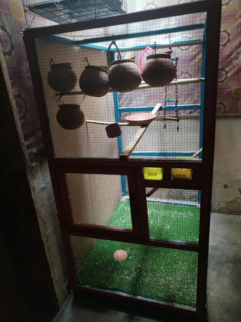 Birds cage — photo 2