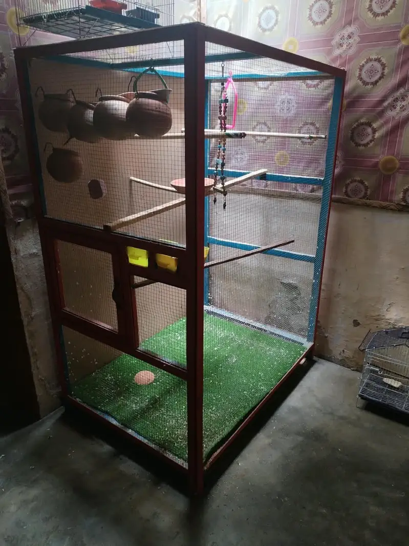 Birds cage — photo 3