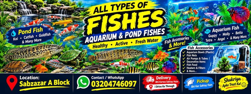 All Types Aquarium & Pond Fish | Fish Accessories | Sabzazar A Block |