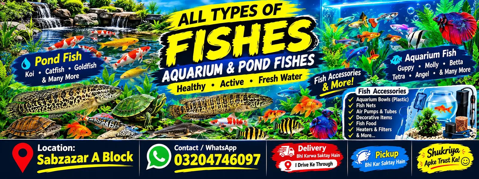 All Types Aquarium & Pond Fish | Fish Accessories | Sabzazar A Block |