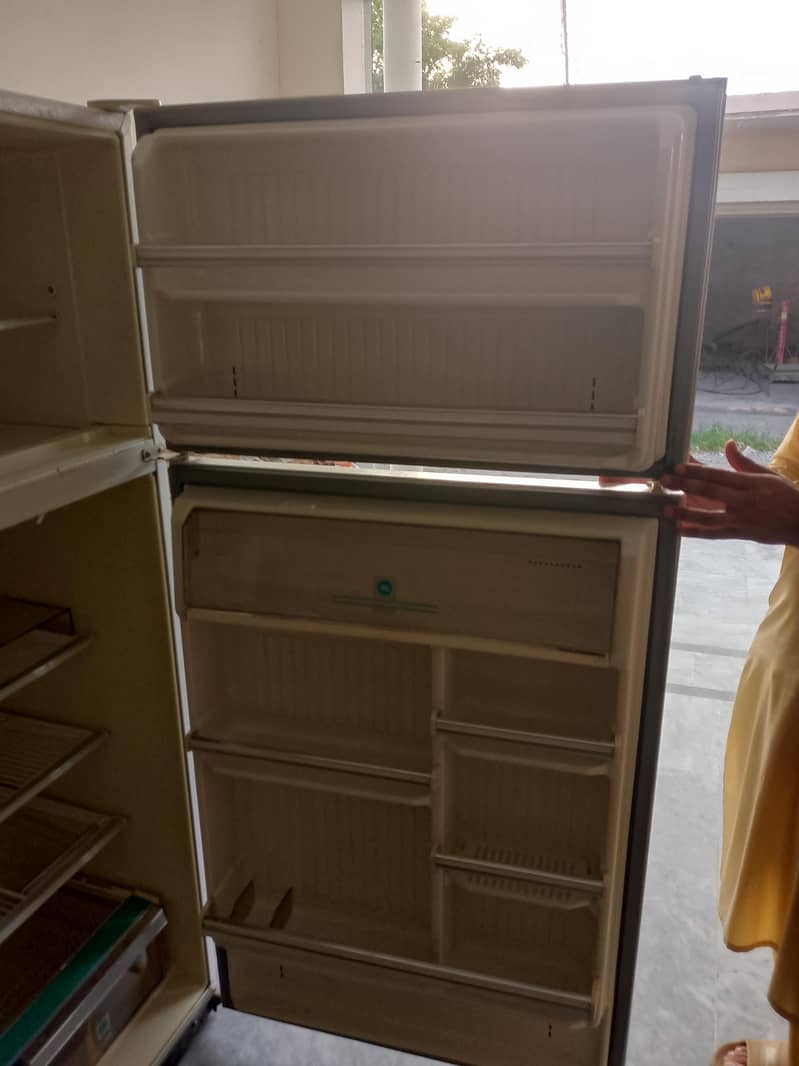 fridge 1