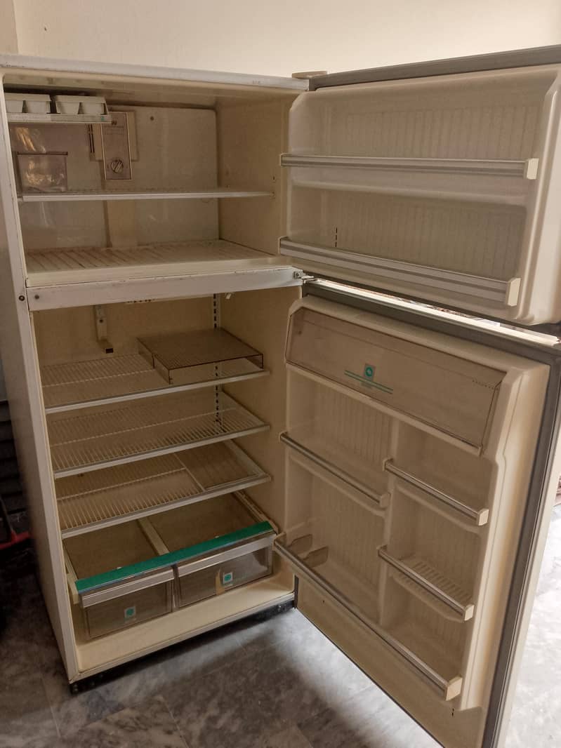 fridge 2