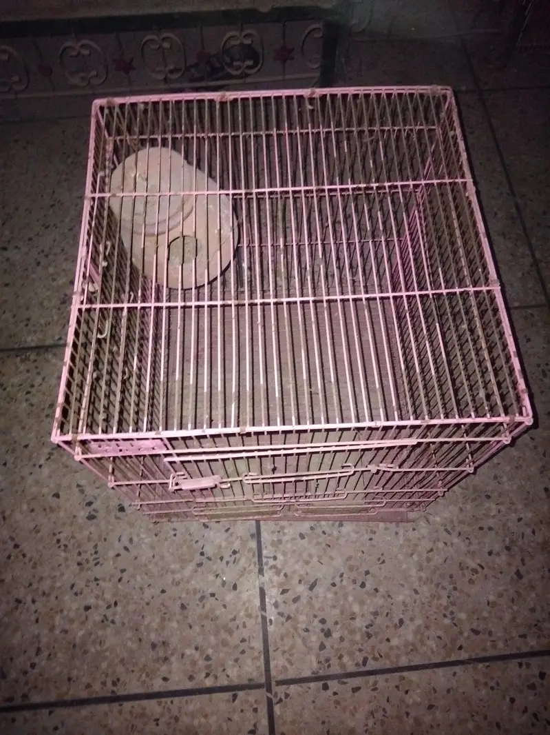parrot cages 1.5 by 1.5 — photo 3