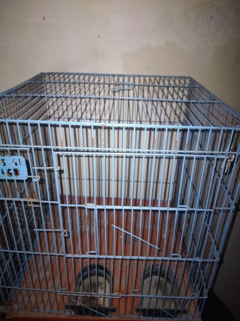 parrot cages 1.5 by 1.5 — photo 4