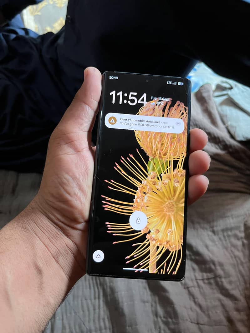 Google Pixel 6 Pro 1