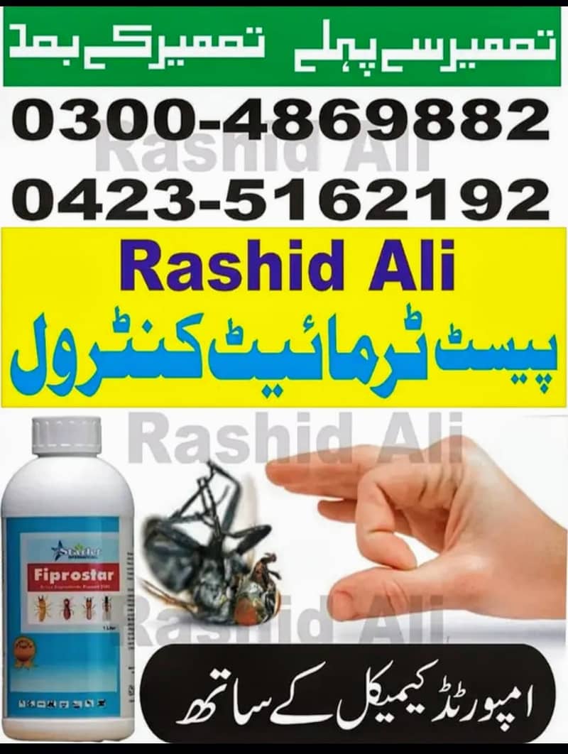 Fumgation/Cockroches solution/Bed bugs/pest control · Termite 2