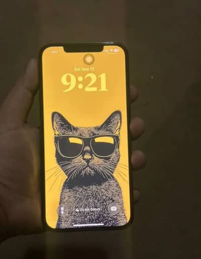 Apple iPhone 12 Pro Max