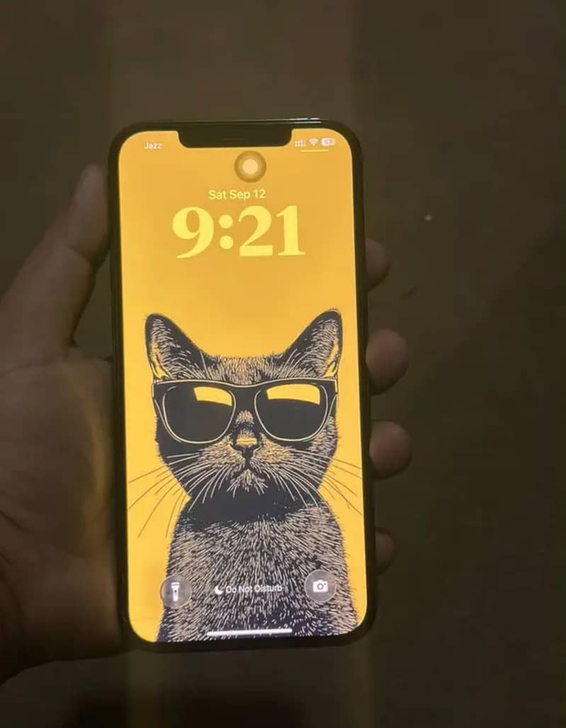 Apple iPhone 12 Pro Max 0