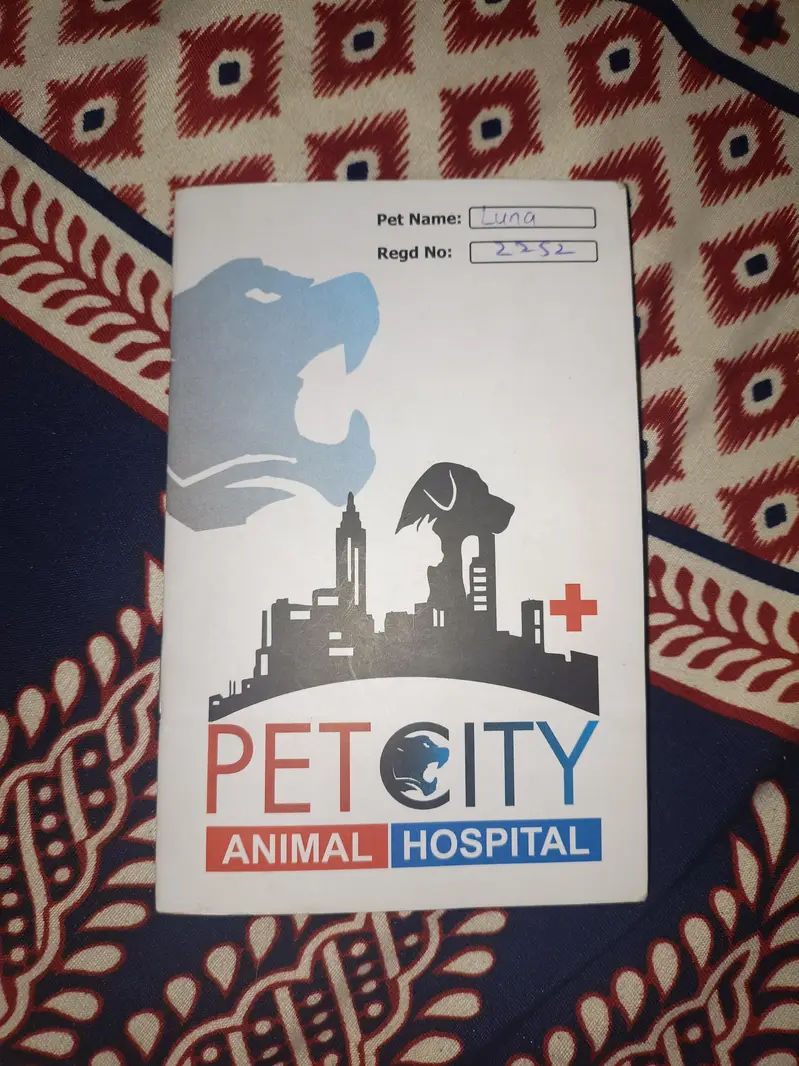 peki  female adult vaccination and deworming all complete — photo 4