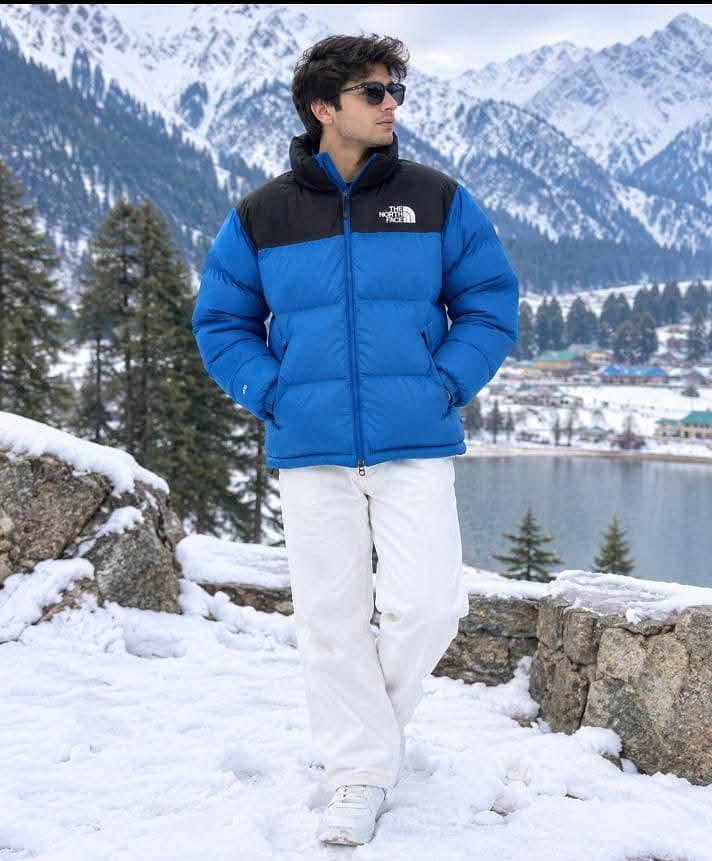 the north face 1