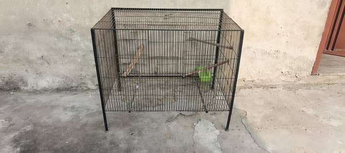 iron cage