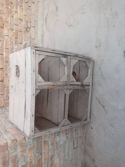urgent for sale