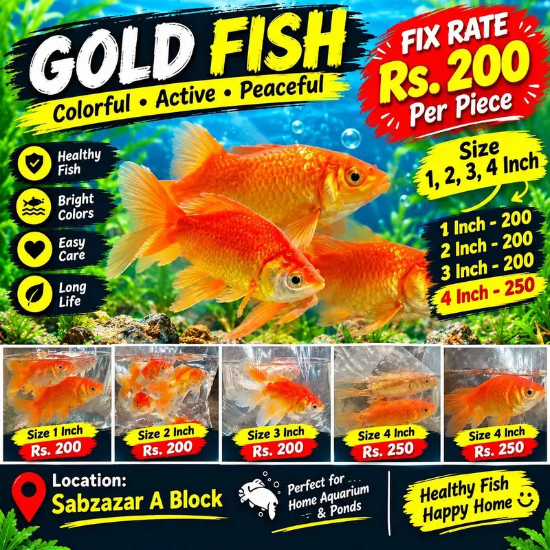 All Types Aquarium & Pond Fish | Fish Accessories | Sabzazar A Block | — photo 2