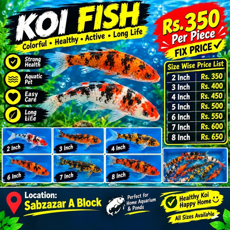 All Types Aquarium & Pond Fish | Fish Accessories | Sabzazar A Block | — photo 11