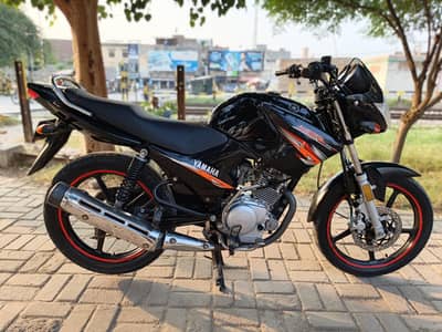 Yamaha YBR 125 20 Model