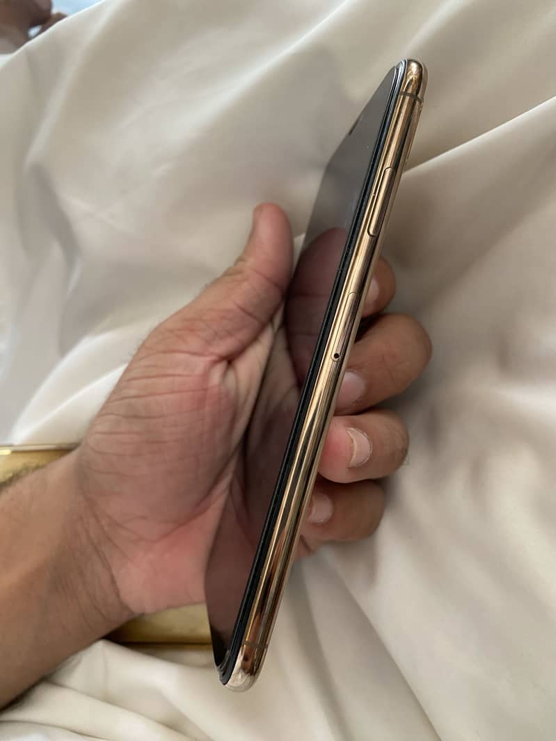 Apple iPhone XS Max 5