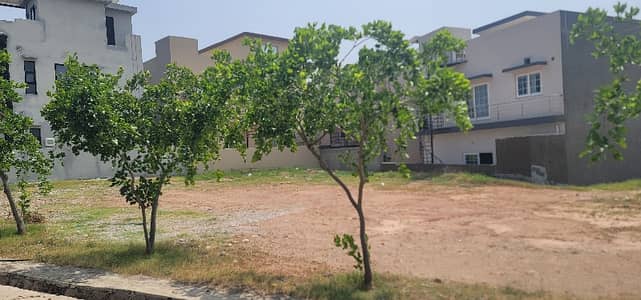 11 Marla Level and Sunfacing plot with big front for sale. Dem 105 negotiable
