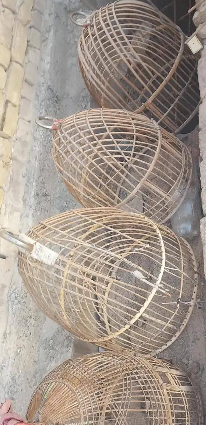 پانچ عدد چکور کے پنجرے 1
