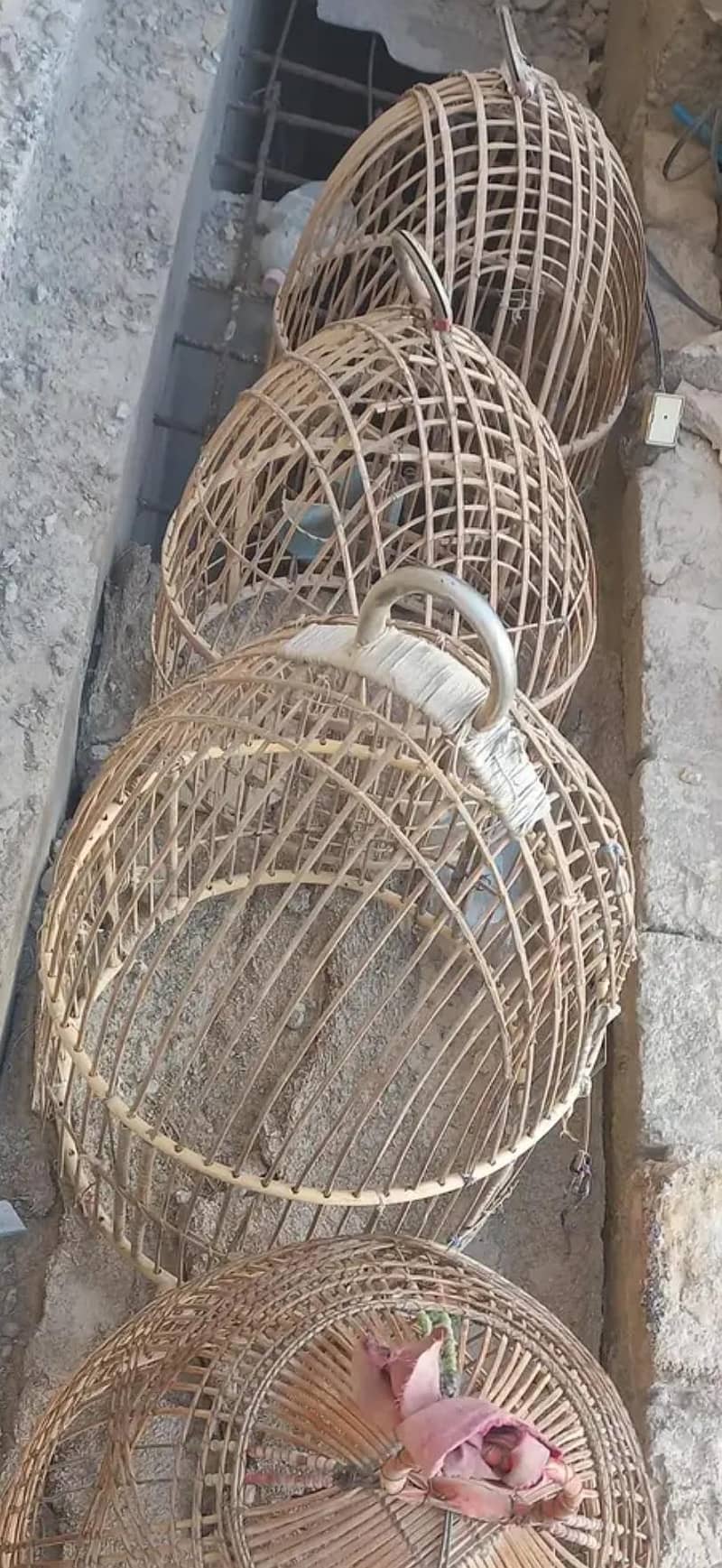 پانچ عدد چکور کے پنجرے 2