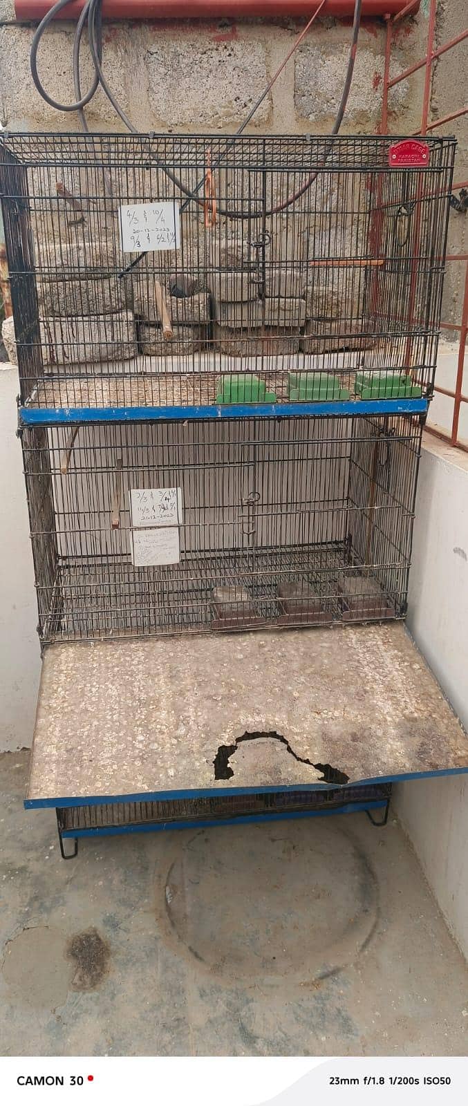 Cage' 0