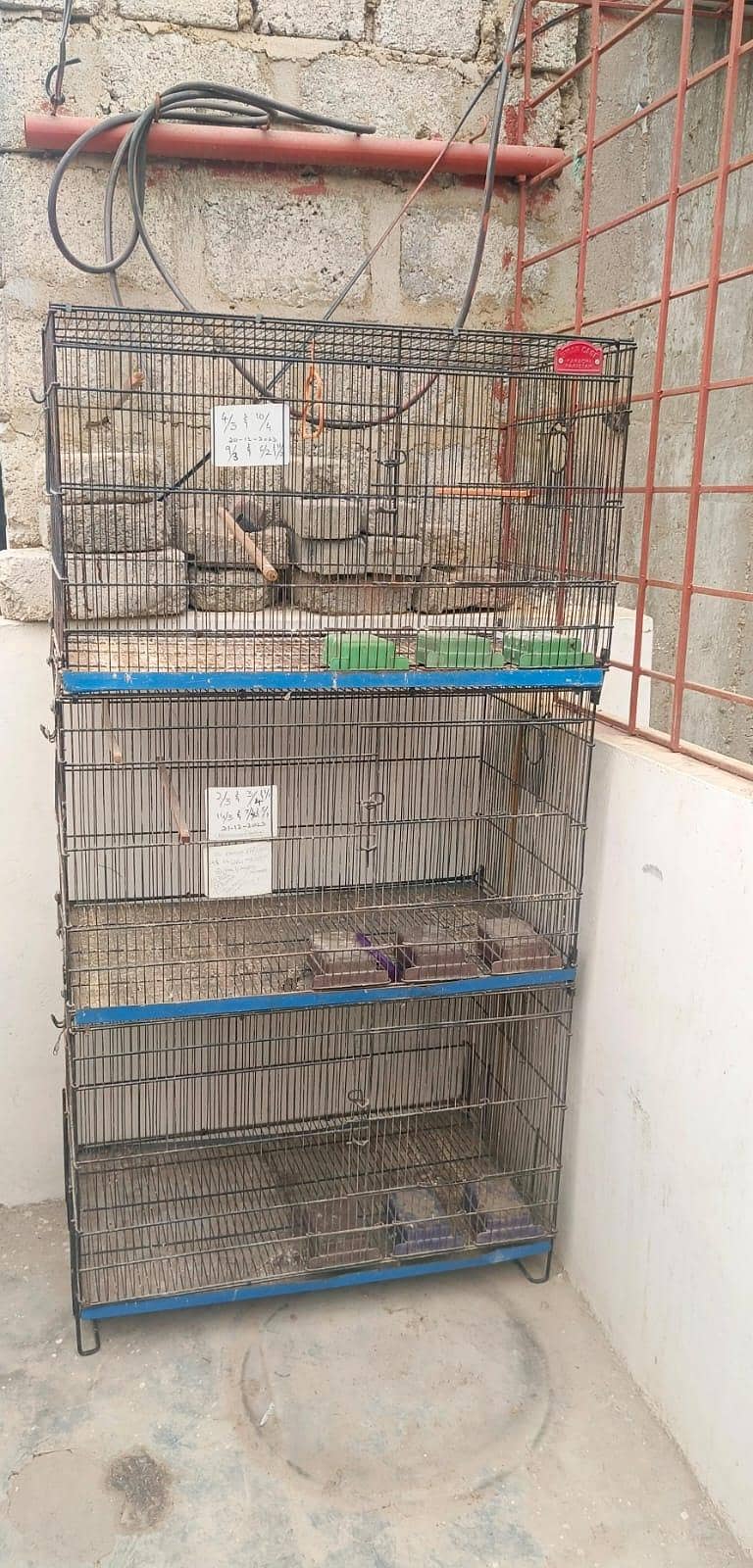 Cage' 1