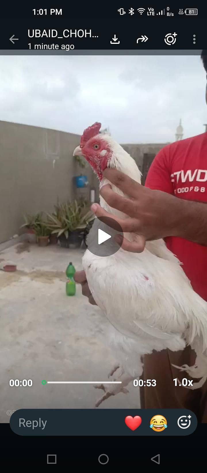 heera 4