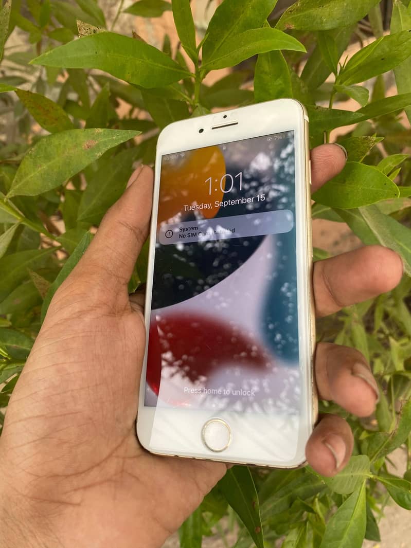 Apple iPhone 7 1