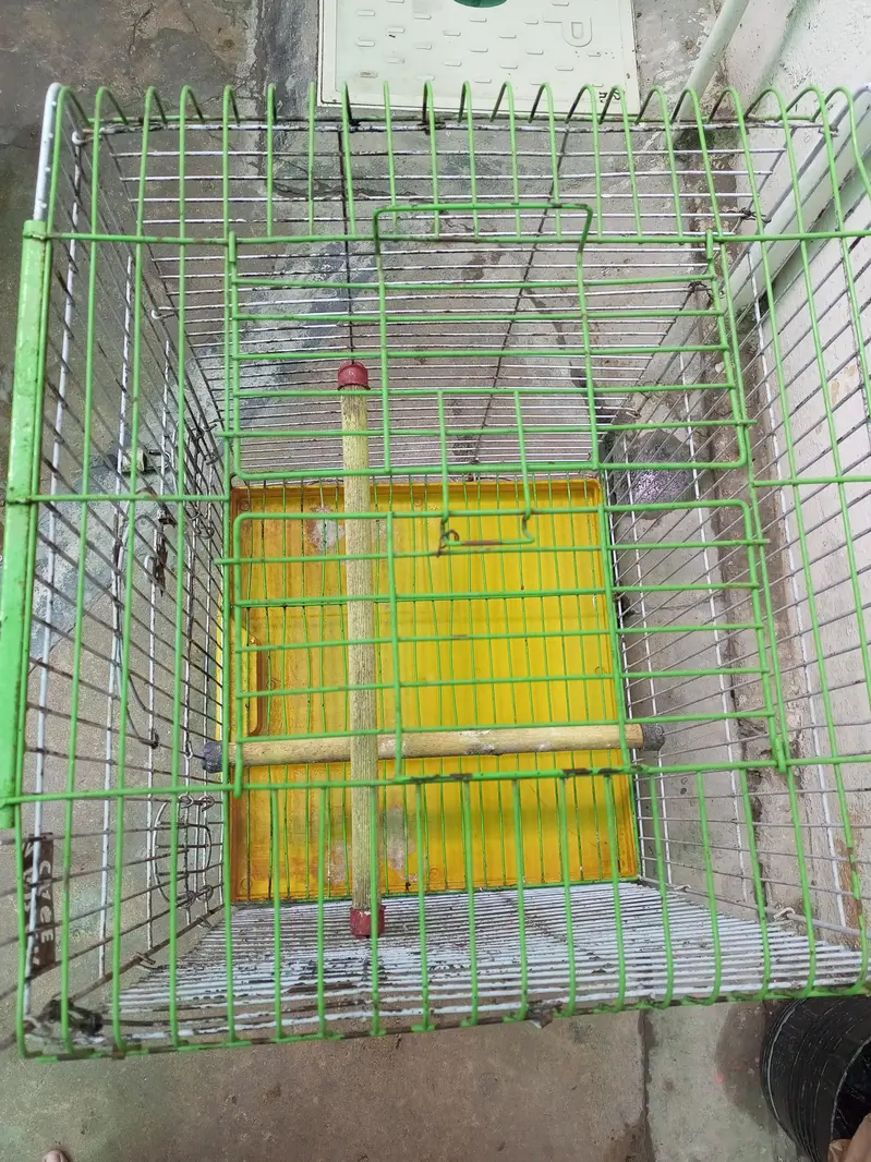 aninaml cage — photo 2