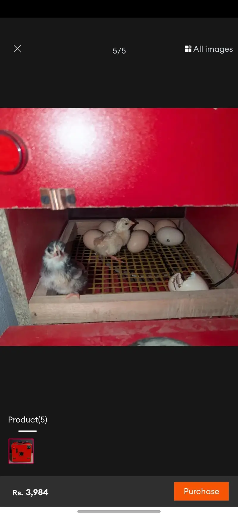 Hen Incubator — photo 4