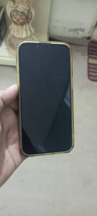 Apple iPhone 13 Pro jv