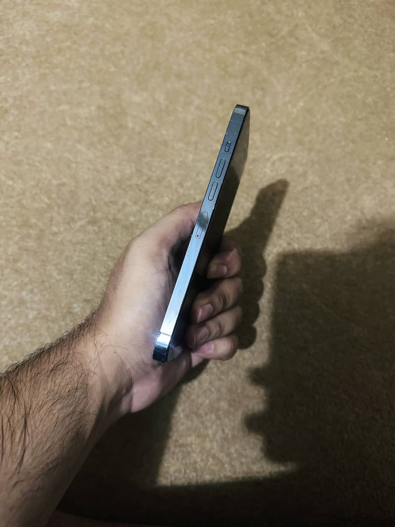 Apple iPhone 13 Pro Max 1