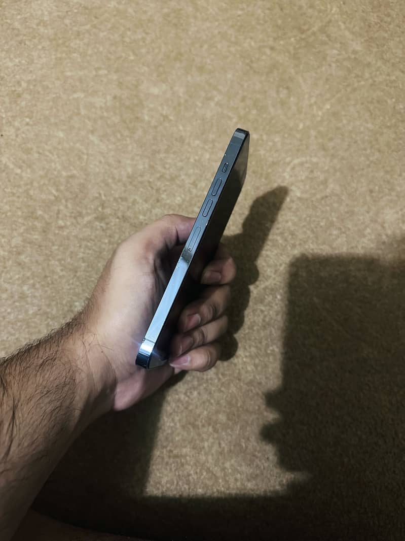 Apple iPhone 13 Pro Max 3