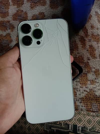 Apple iPhone 13 Pro Max