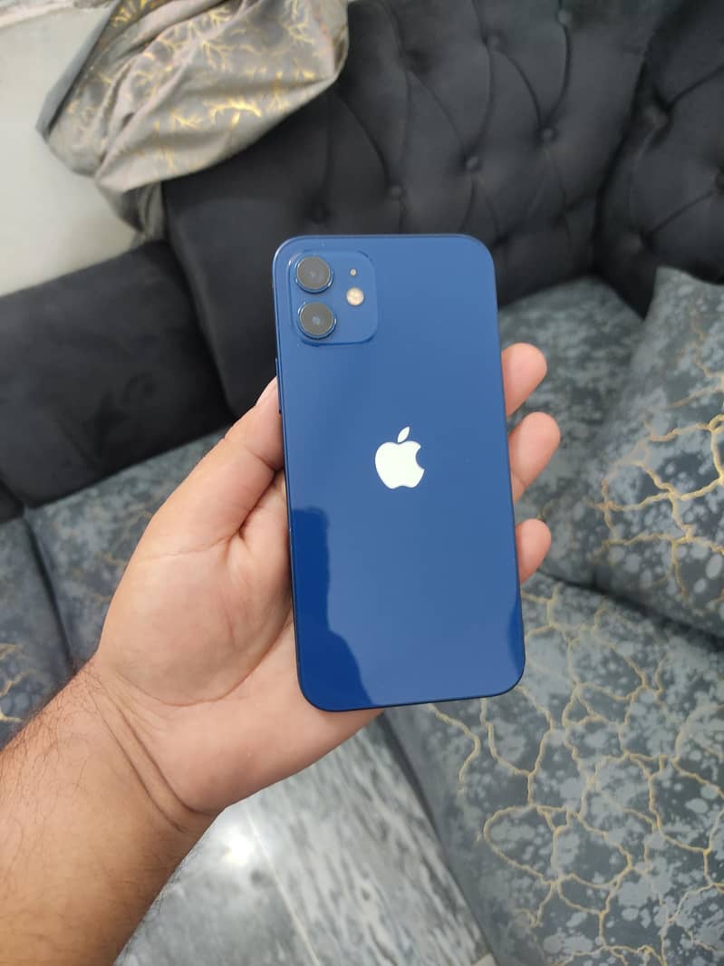 Apple iPhone 12 1
