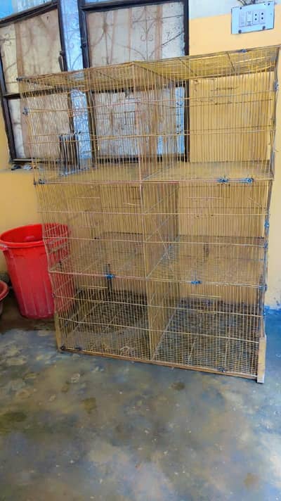 parrot box