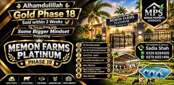Memon Farms houses near Gulshan e Maymar