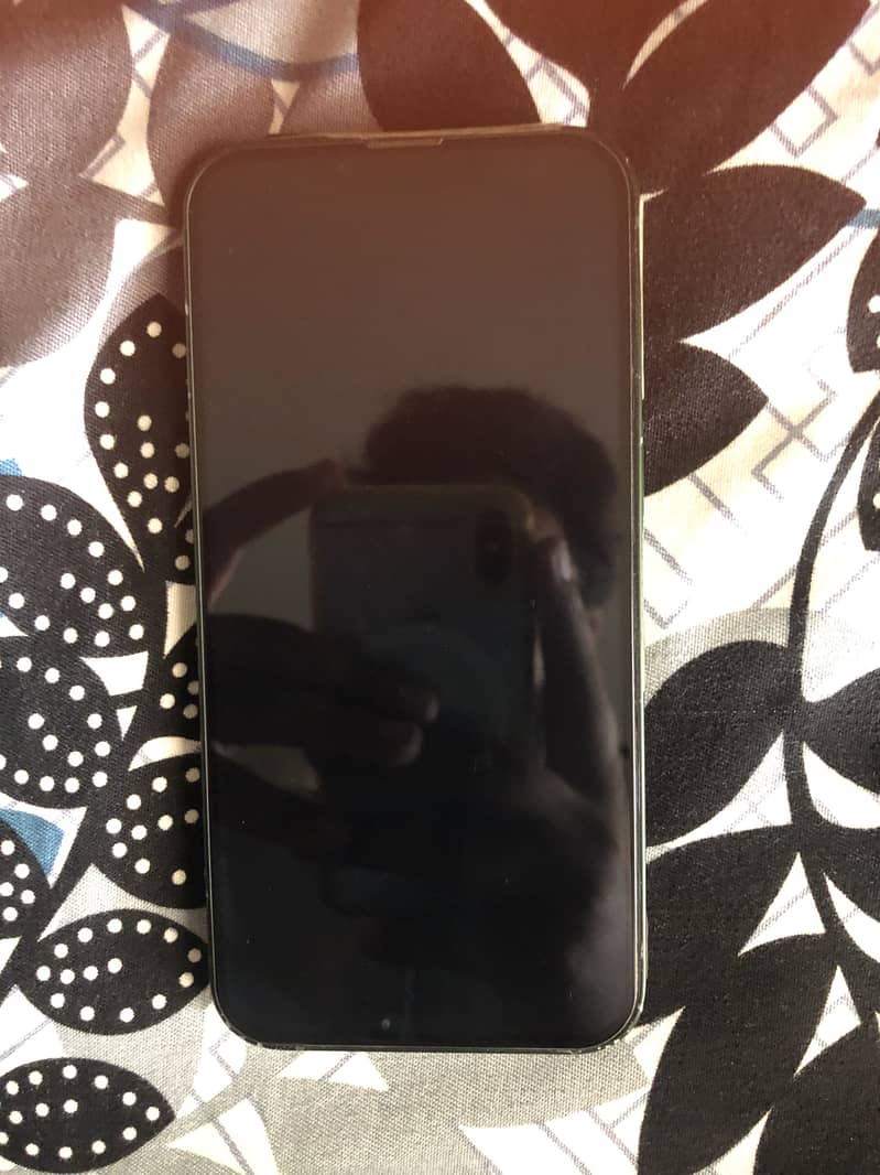 Apple iPhone 13 0