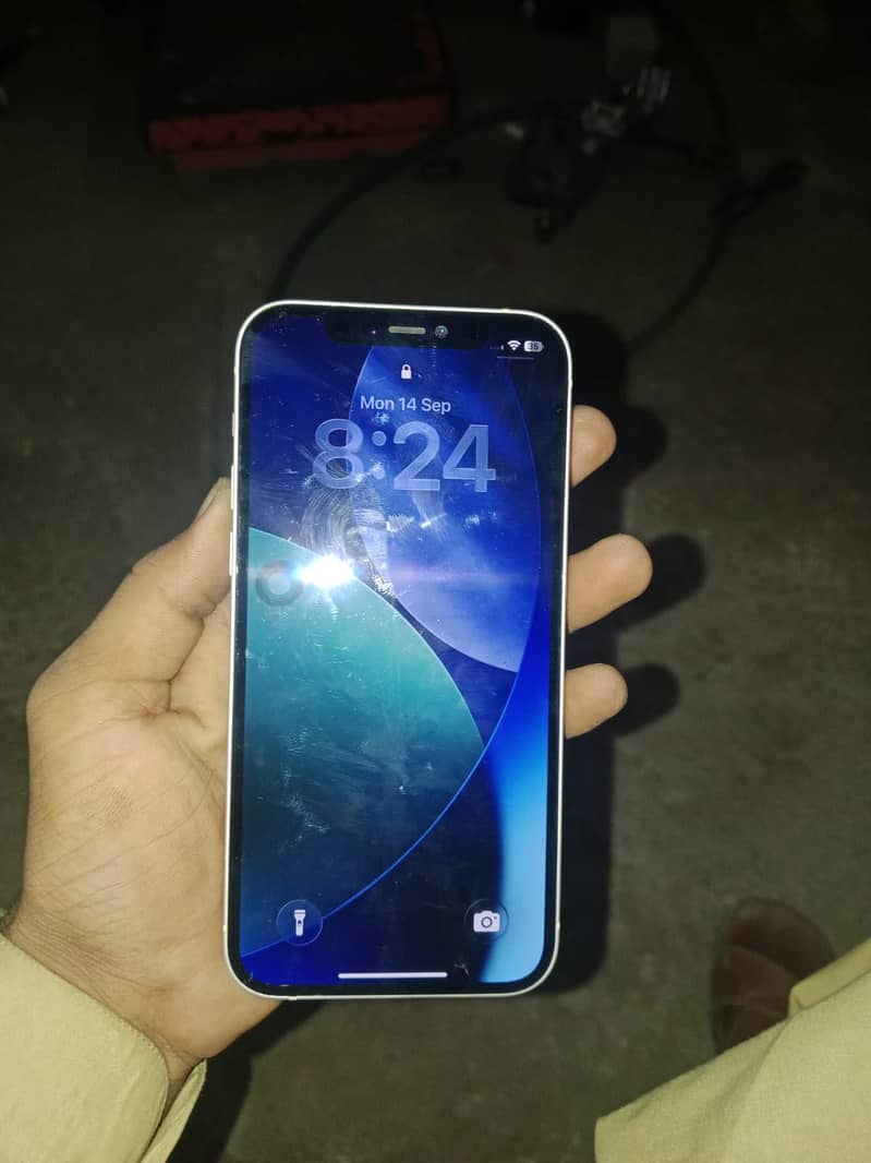 Apple iPhone 12 1