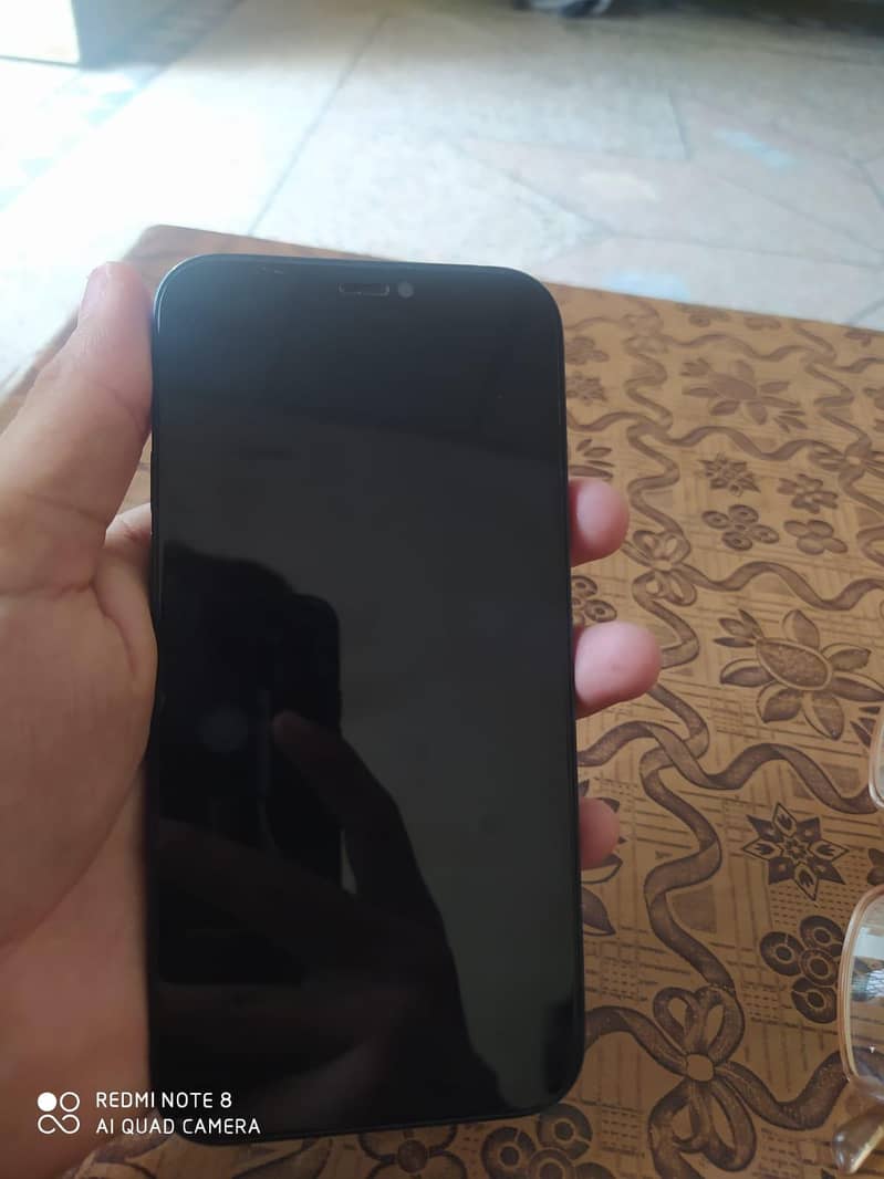 Apple iPhone 12 1
