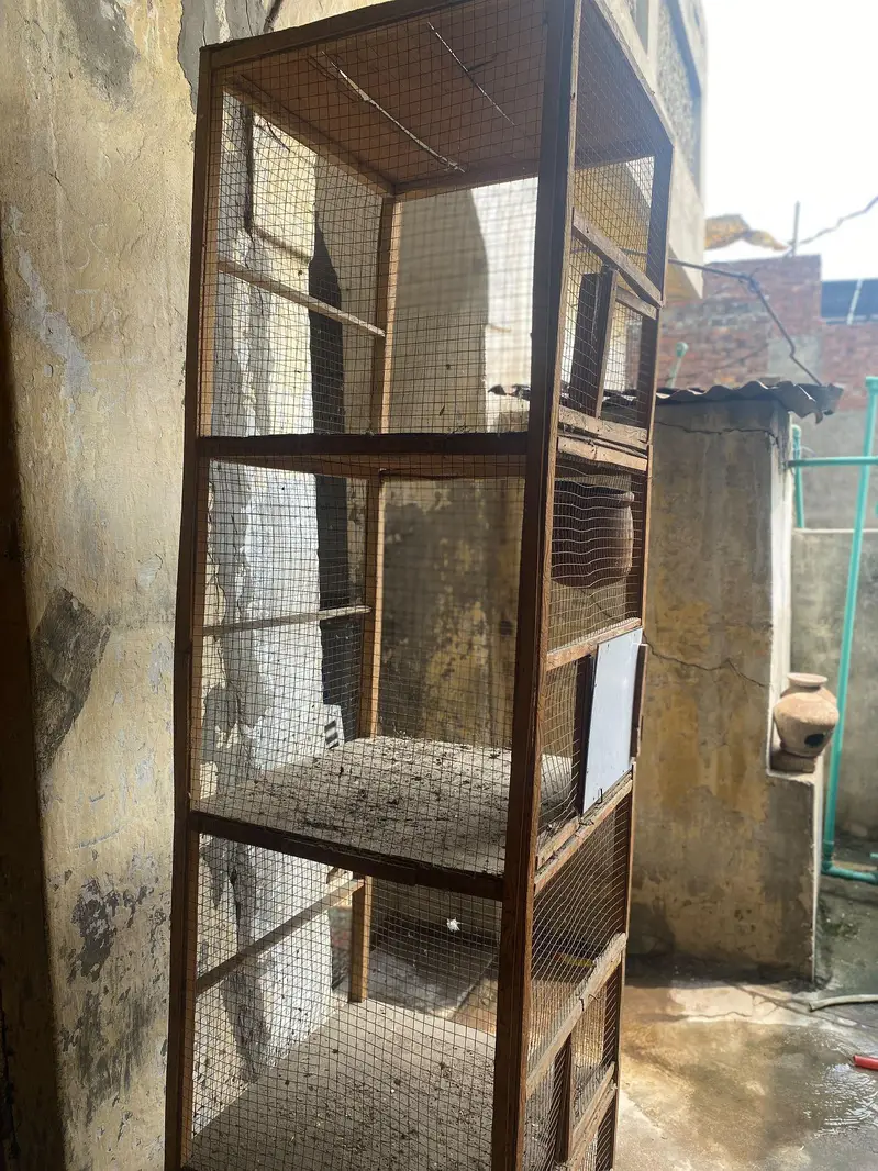 Large Wooden Bird Cage / Pinjra – Multi Portion — photo 2