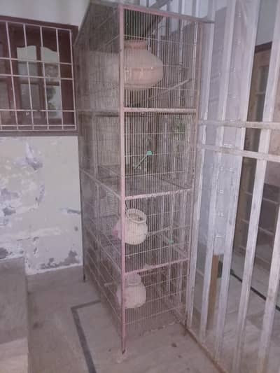4 Portion Bada Bird Cage (Matkiyo ke sath)