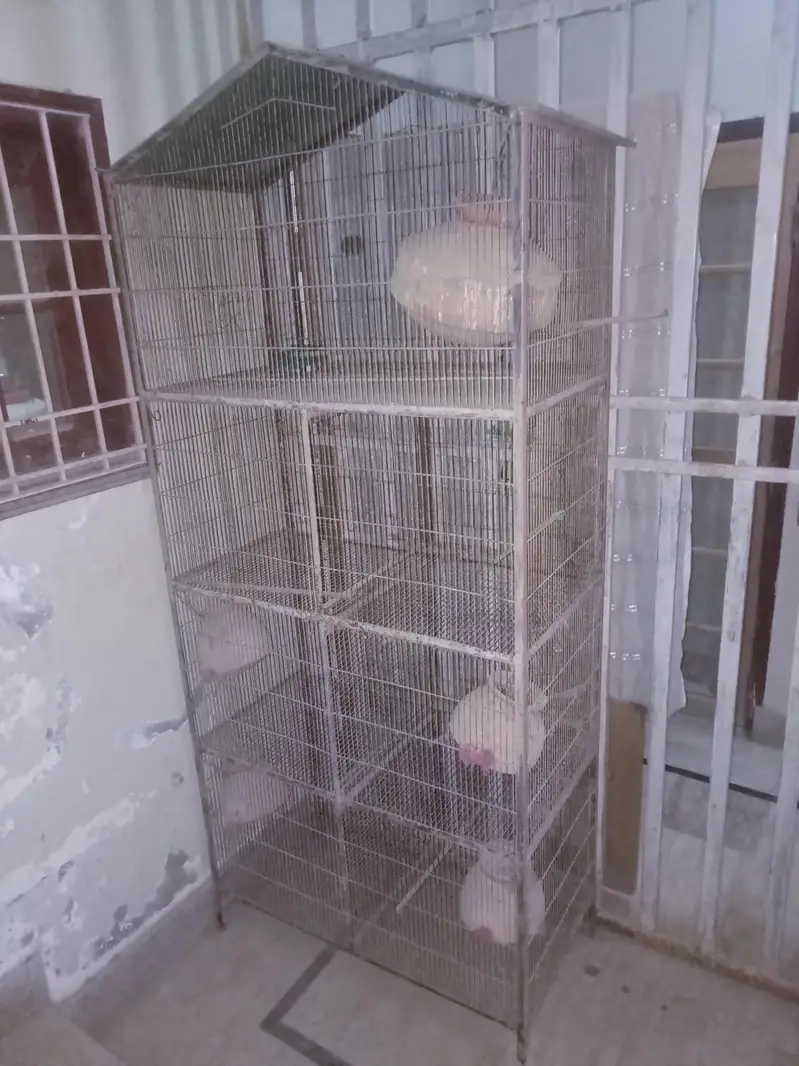 4 Portion Bada Bird Cage (Matkiyo ke sath) — photo 4