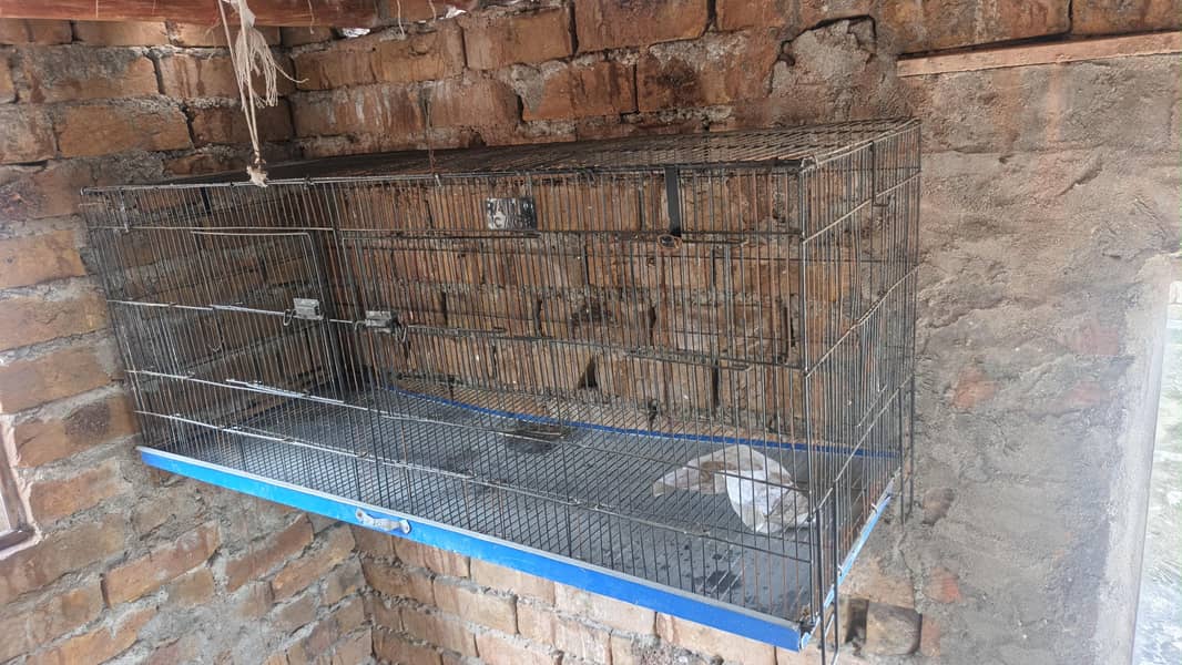 cages 0