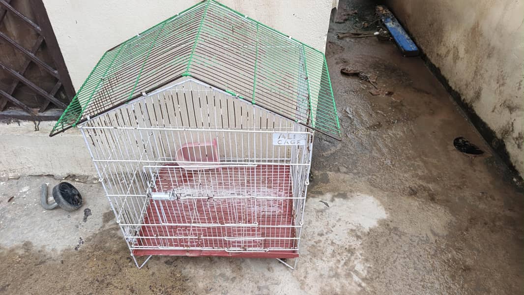 cages 1